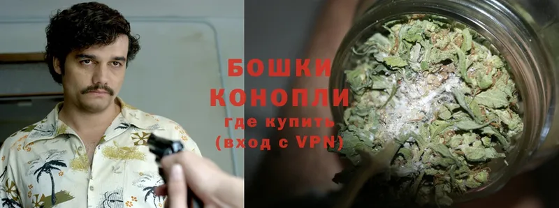 Бошки марихуана White Widow  где купить наркоту  Зея 